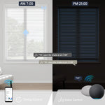 rizzle White smart sheer blinds on a daily schedule: open at 7 AM for soft natural light and close at 9 PM, all controllable by voice.