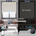 Line beige motorized blackout roller shade, hands-free voice commands and timer scheduling provide effortless daily automation.