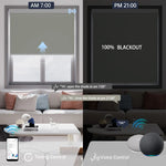 Elegant smoky sea grass motorized blackout roller shade supports voice commands and scheduled timer for hands-free daily control.