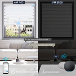 Motorized 60% white zebra shade supports scheduled timer and voice commands for effortless daily control.